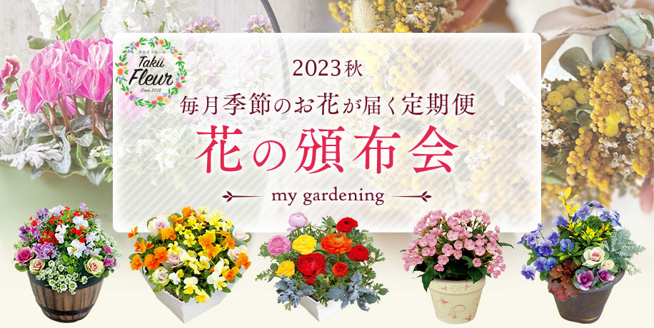 2023年10月～2024年3月 毎月お花が届く 花の頒布会