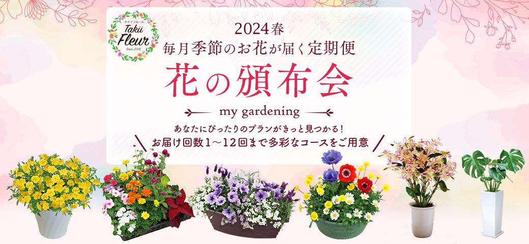 2024年春の花の頒布会