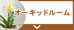 個性豊かな蘭の世界を楽しむオーキッドルーム