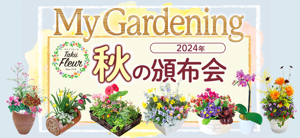 2024年秋の花の頒布会