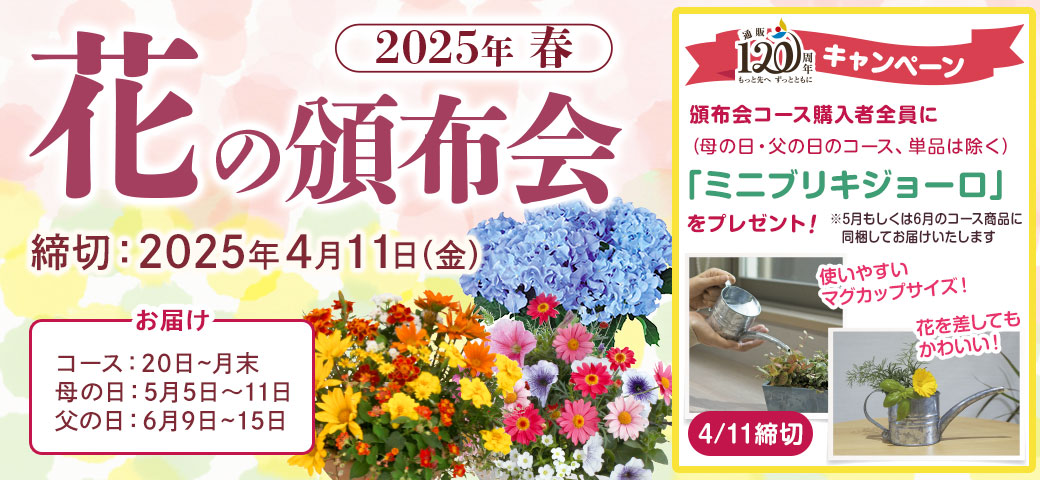 2025年春の花の頒布会