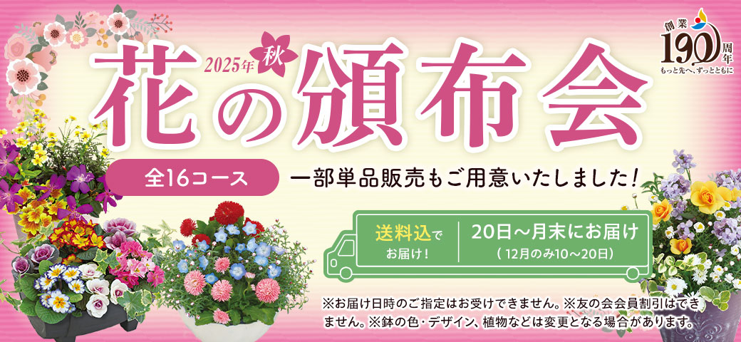 2025年秋の花の頒布会
