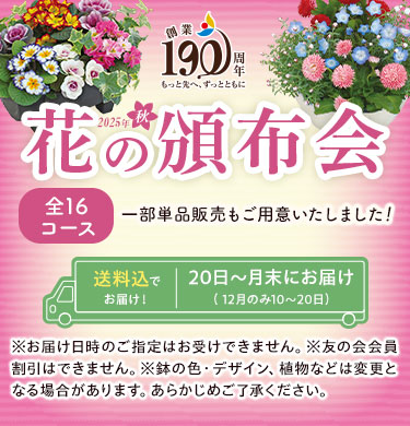 2025年秋の花の頒布会