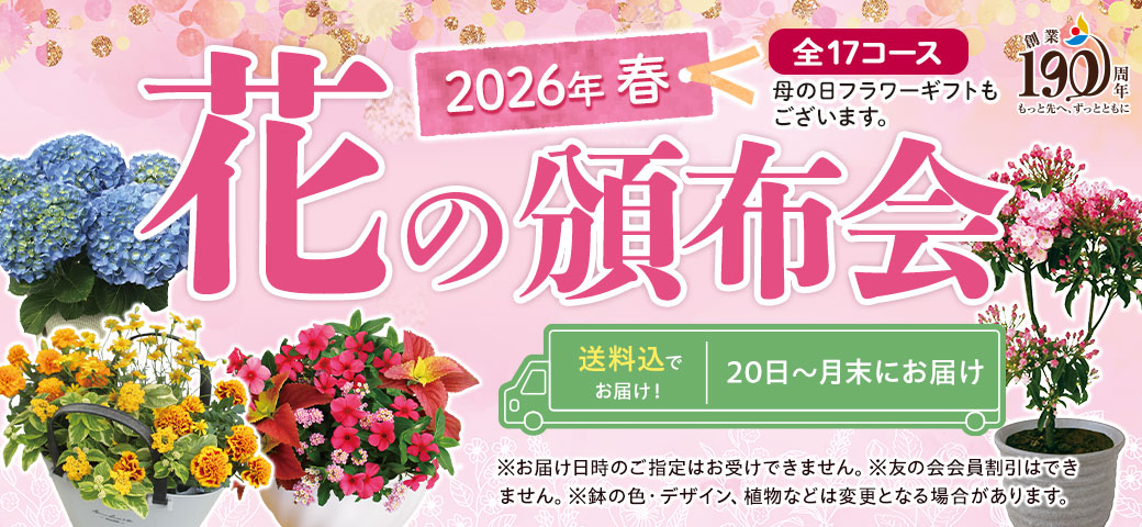 2026年春の花の頒布会