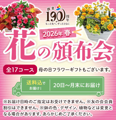 2026年春の花の頒布会