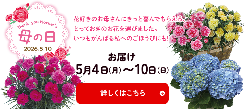 母の日