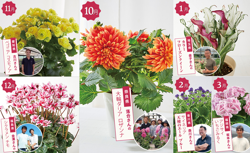 花つくり名人コース