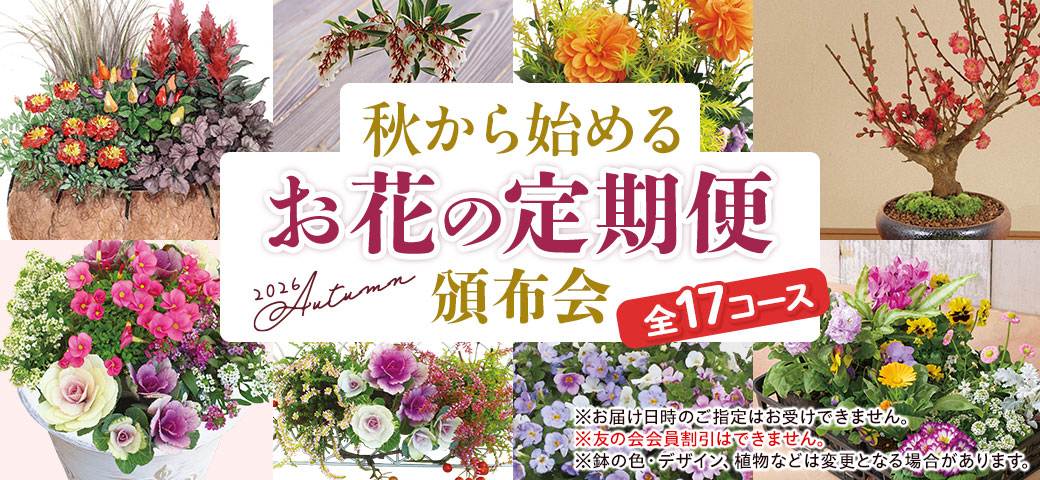 2026年秋の花の頒布会 秋から始めるお花の定期便 頒布会全17コース