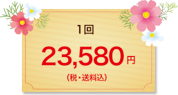 球根と花苗の春らんまんコース Myガーデニング 10月スタート 秋の頒布会特集 タキイネット通販