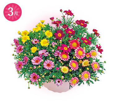 3月