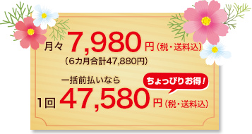 月々7,980円（税・送料込）6カ月合計47,880円／1回47,580円（税・送料込）一括前払いならちょっぴりお得！