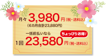 月々3,980円（税・送料込）6カ月合計23,880円／1回23,580円（税・送料込）一括前払いならちょっぴりお得！