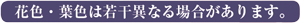 花色・葉色はおまかせです。