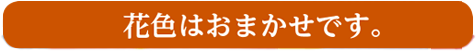 花色・葉色はおまかせです。