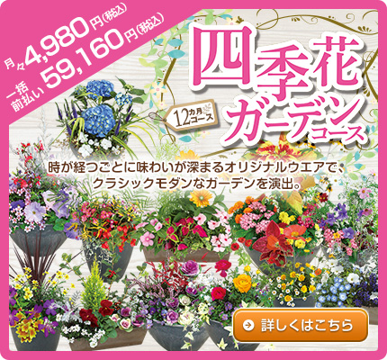 四季花ガーデンコース