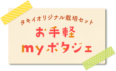 タキイオリジナル栽培セット　お手軽myポタジェ