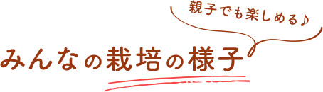フィルムプランターtamakara®って？