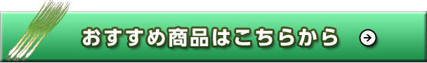 ߏi͂炩
