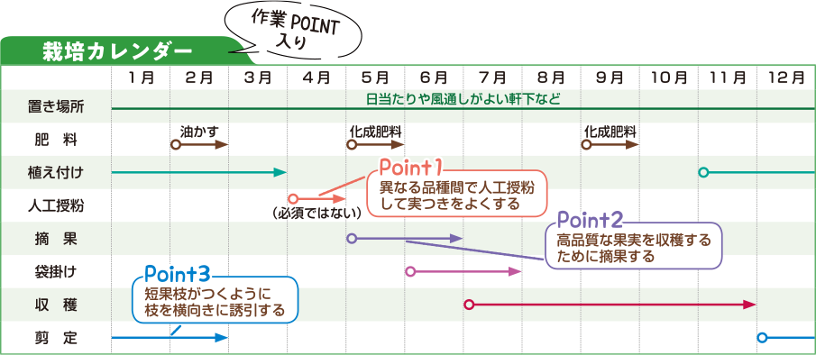 栽培カレンダー