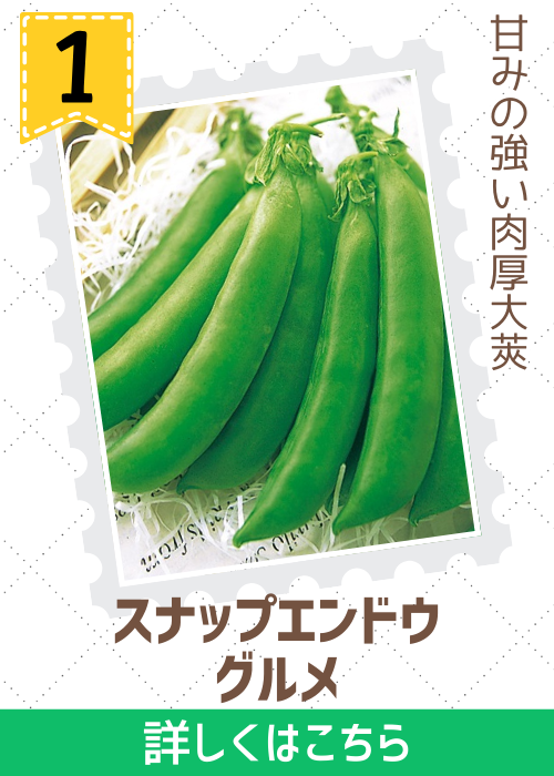 スナップ豌豆　グルメ