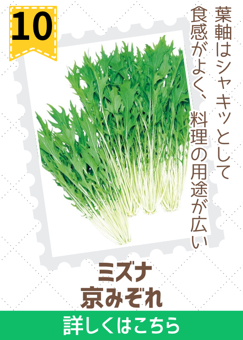 京みぞれ水菜