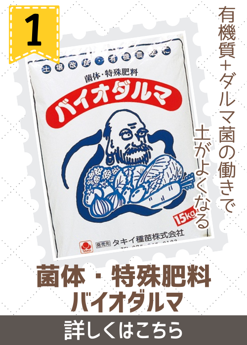 通販用バイオダルマ