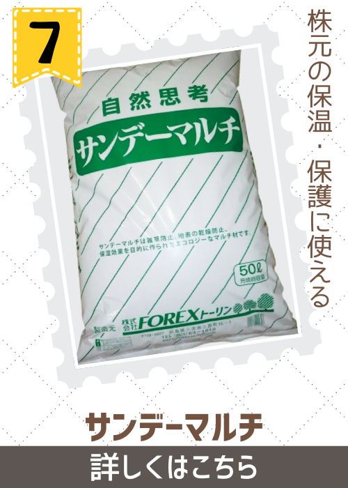 サンデーマルチ