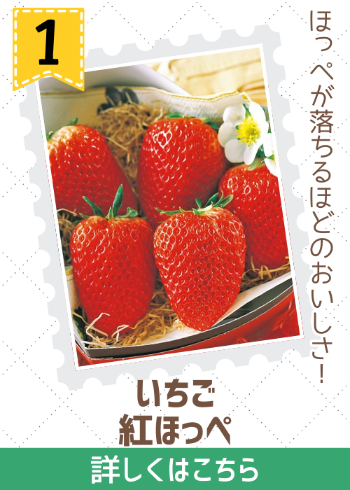 苺　紅ほっぺ