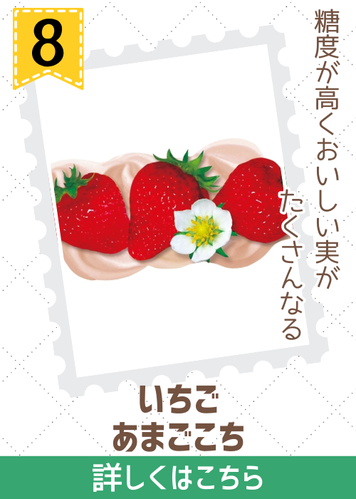 いちご　あまごこち