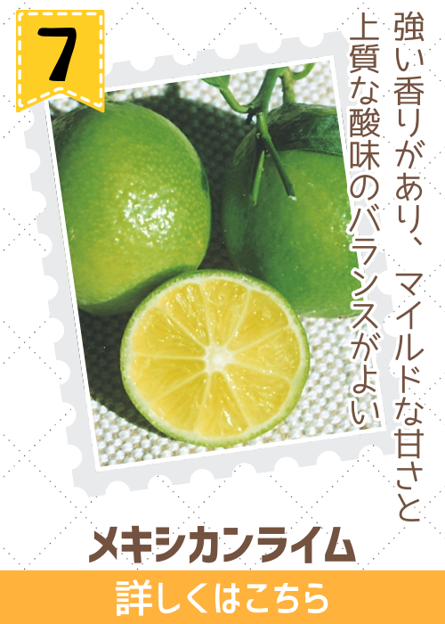ライム　メキシカンライム