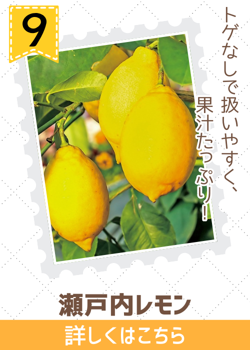 瀬戸内レモン