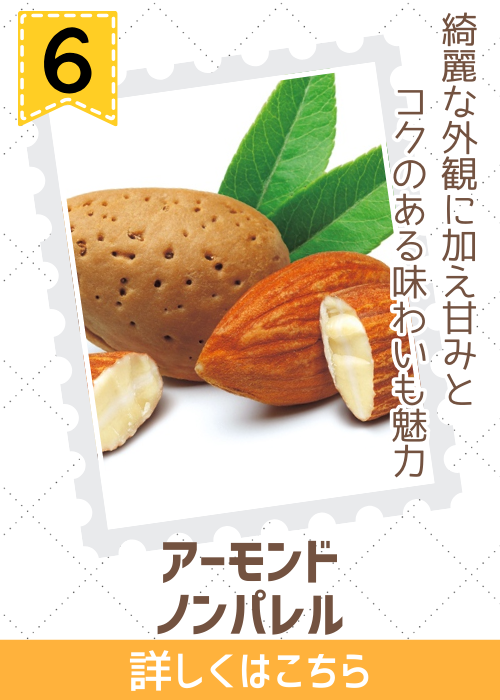 アーモンド　ノンパレル　