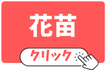 花苗