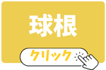 球根