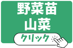野菜苗・山菜