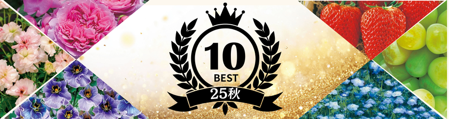 ベスト10