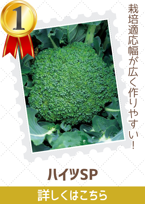 ハイツＳＰ緑花椰菜