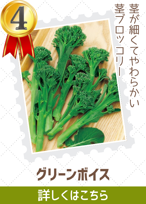 グリーンボイス茎ブロッコリー