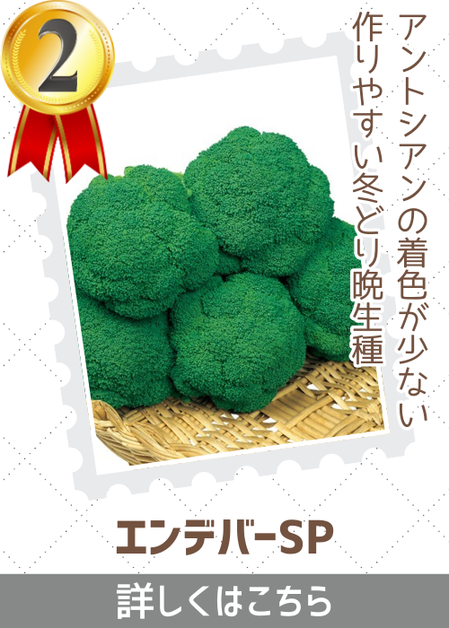 エンデバーＳＰ緑花椰菜