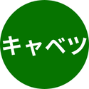 キャベツ