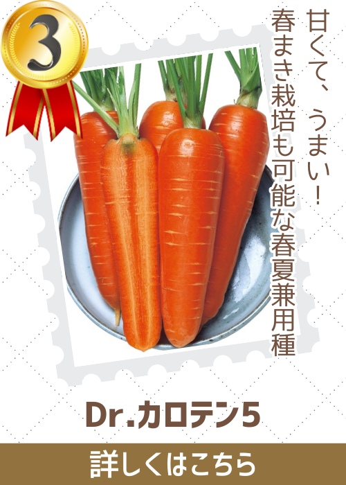 Ｄｒ．カロテン５