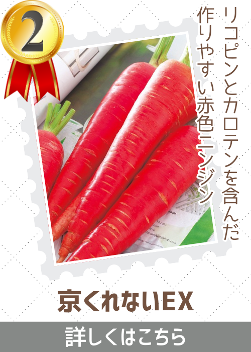 京くれないＥＸ人参