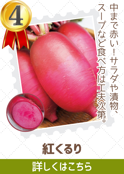 紅くるり大根