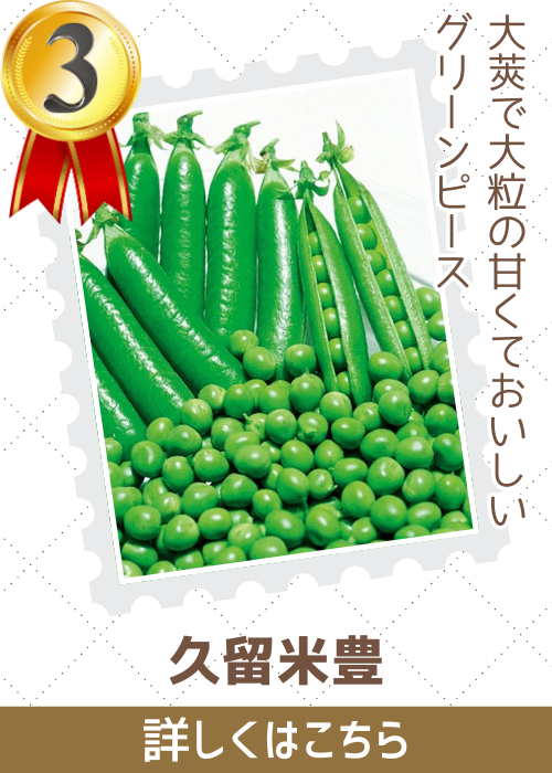 久留米豊豌豆　