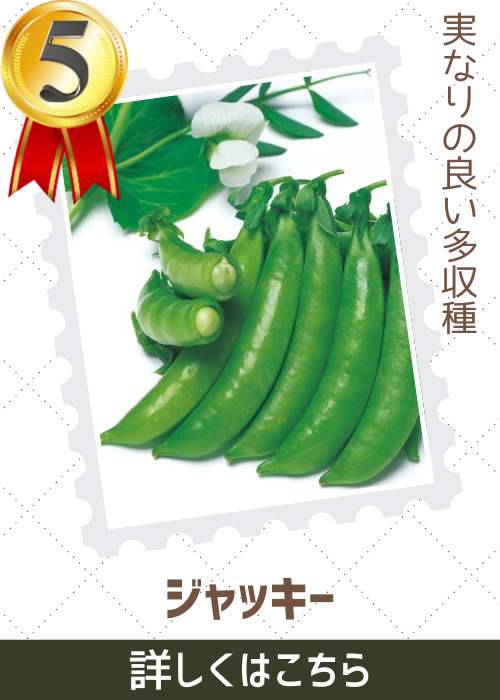 ジャッキー