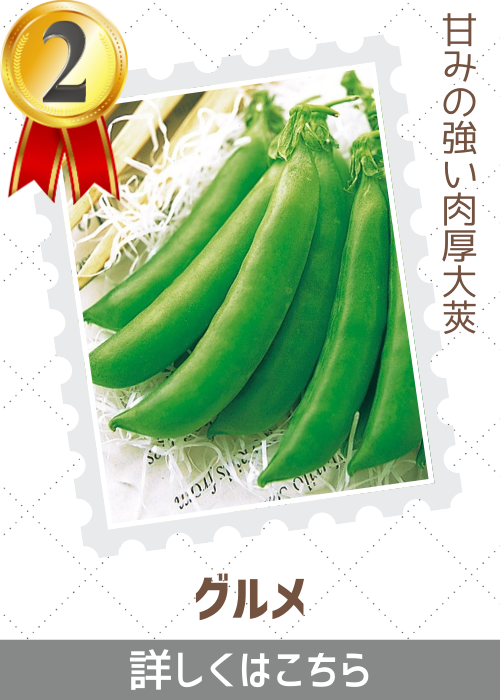 グルメ