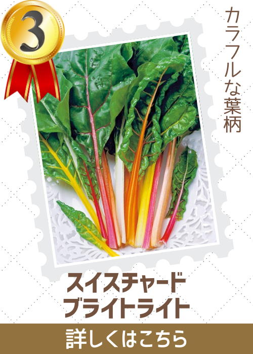 ブライトライト