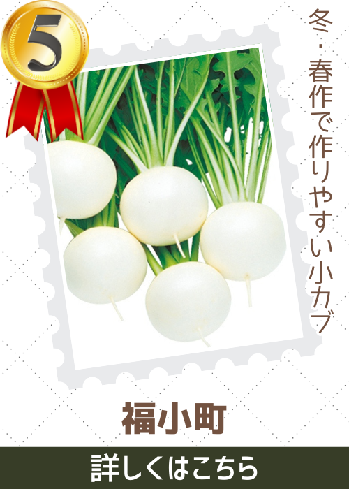 福小町蕪