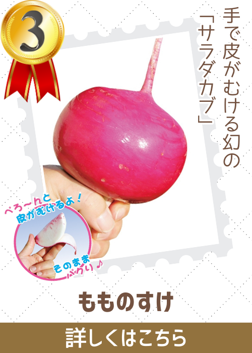 もものすけ蕪