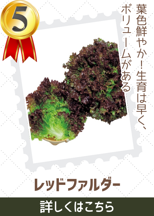 レッドファルダー